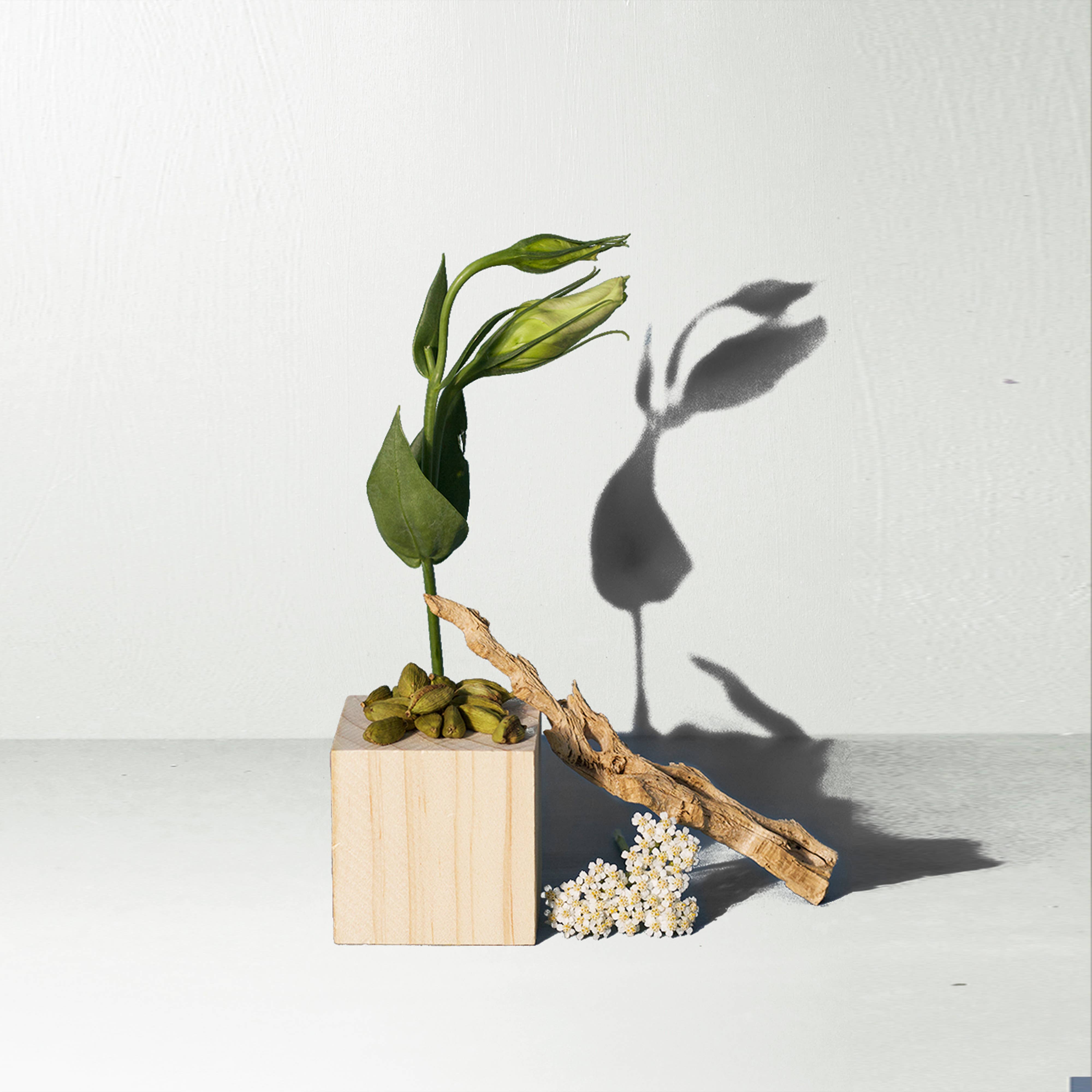 Santal Large Candle