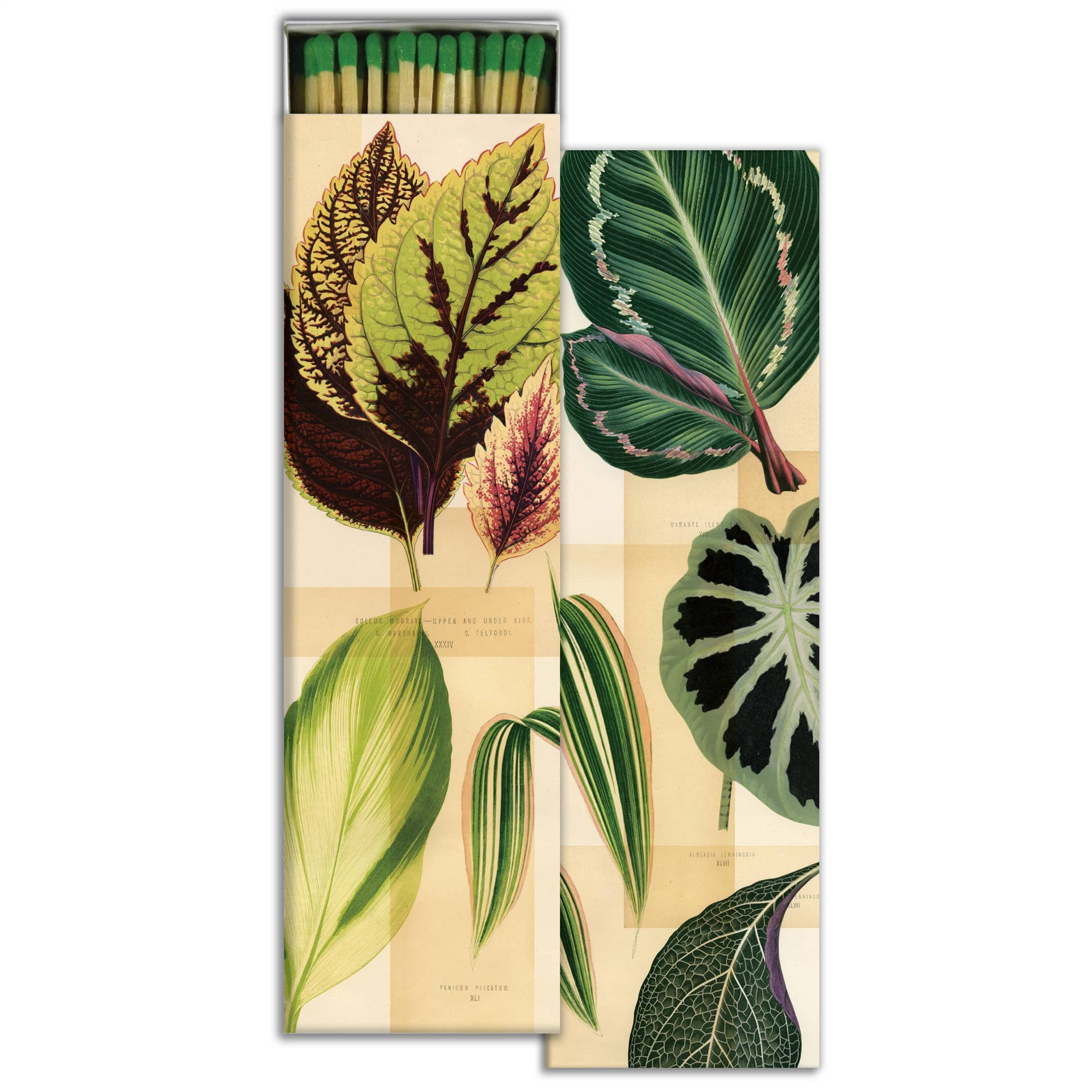 Matches, 8.5" | Garden Foliage