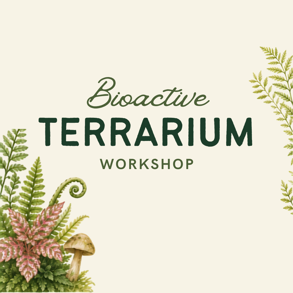 Bioactive Terrarium Workshop
