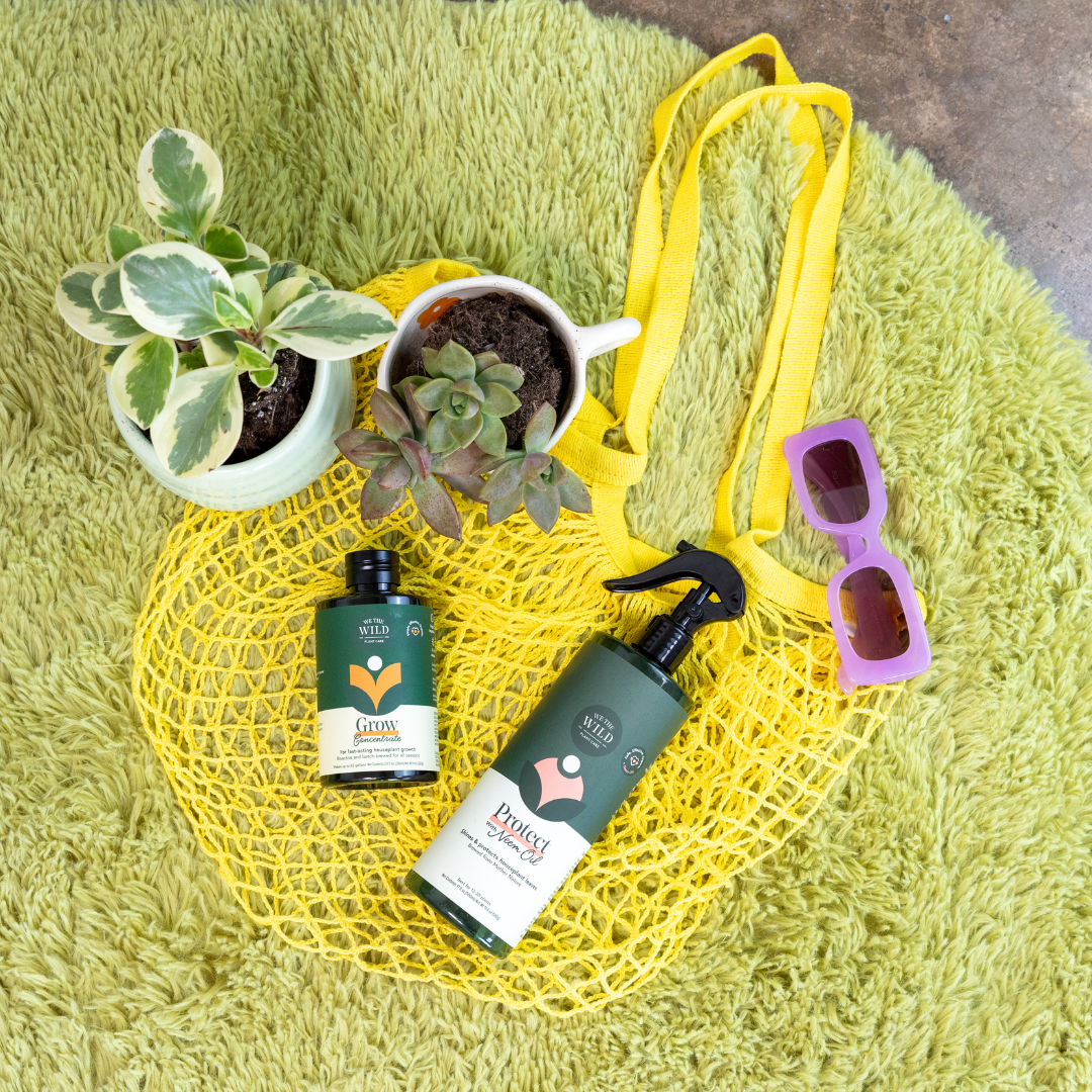 Proud Plant Parent Kit