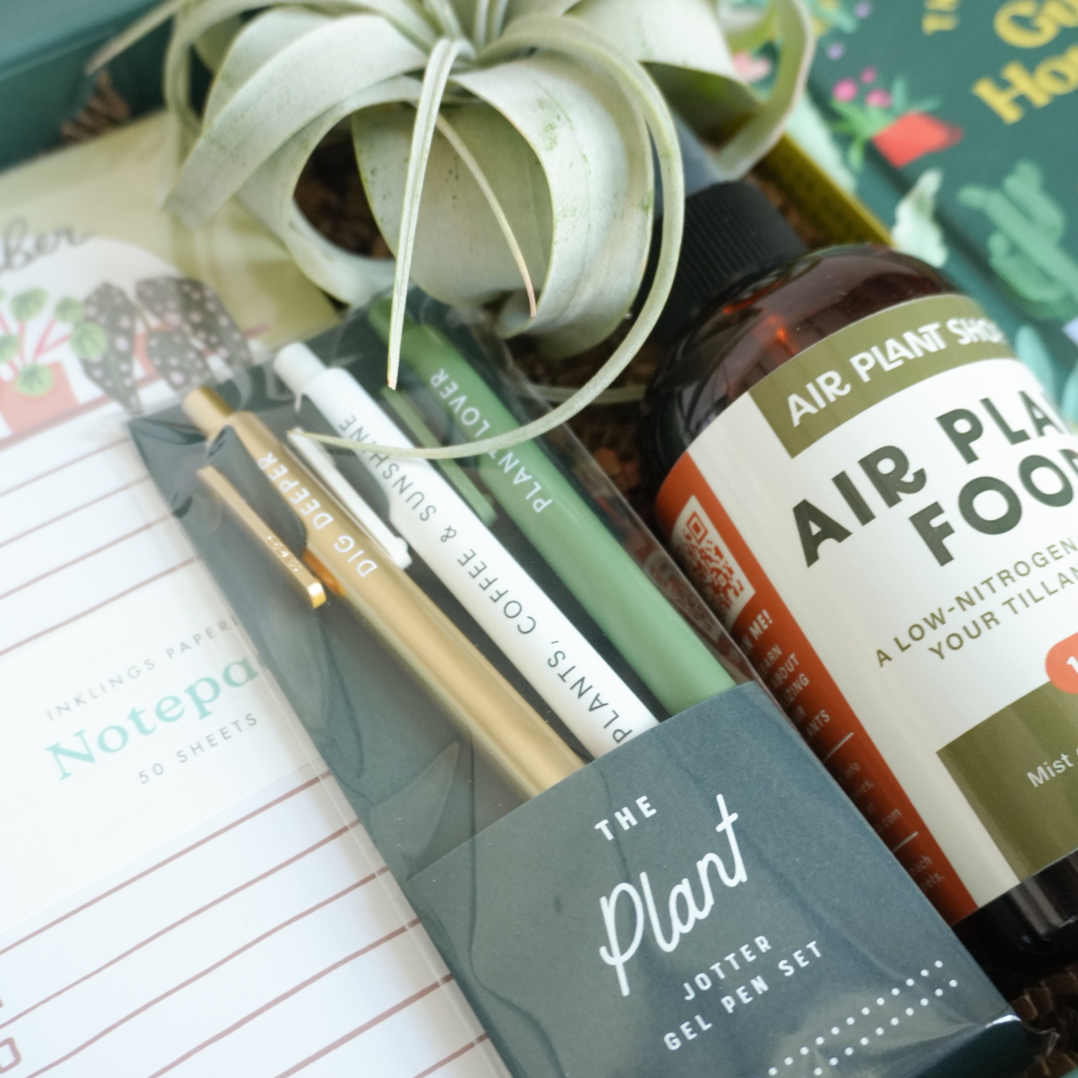 Curated Gift Box | Plant Parent