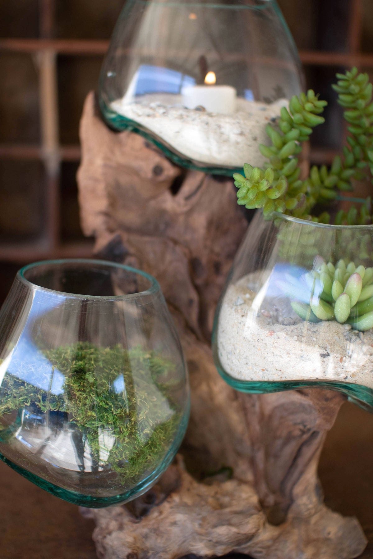Blown Glass Bowls on Driftwood Base | Sculptural Decor