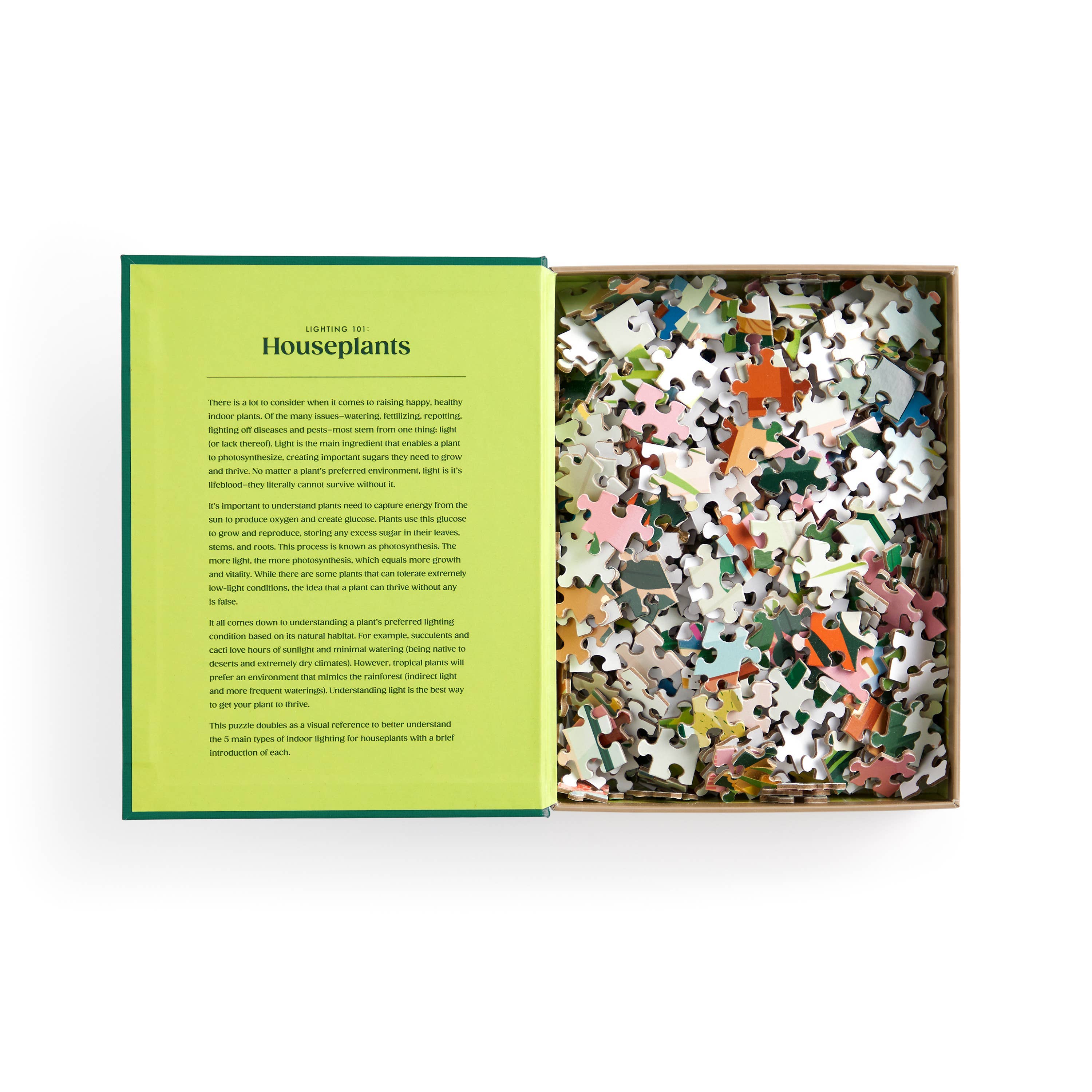 Lighting 101: Houseplants Puzzle | 500-Piece Book Puzzle