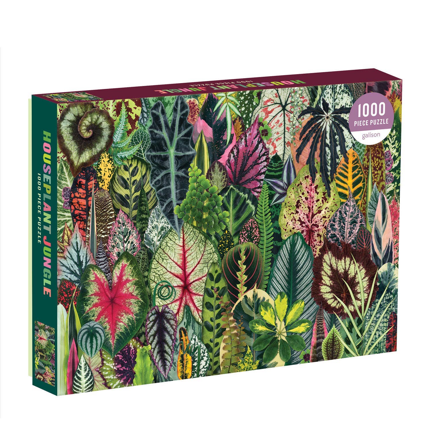 Houseplant Jungle 1000pc Puzzle | Plant Lovers Jigsaw