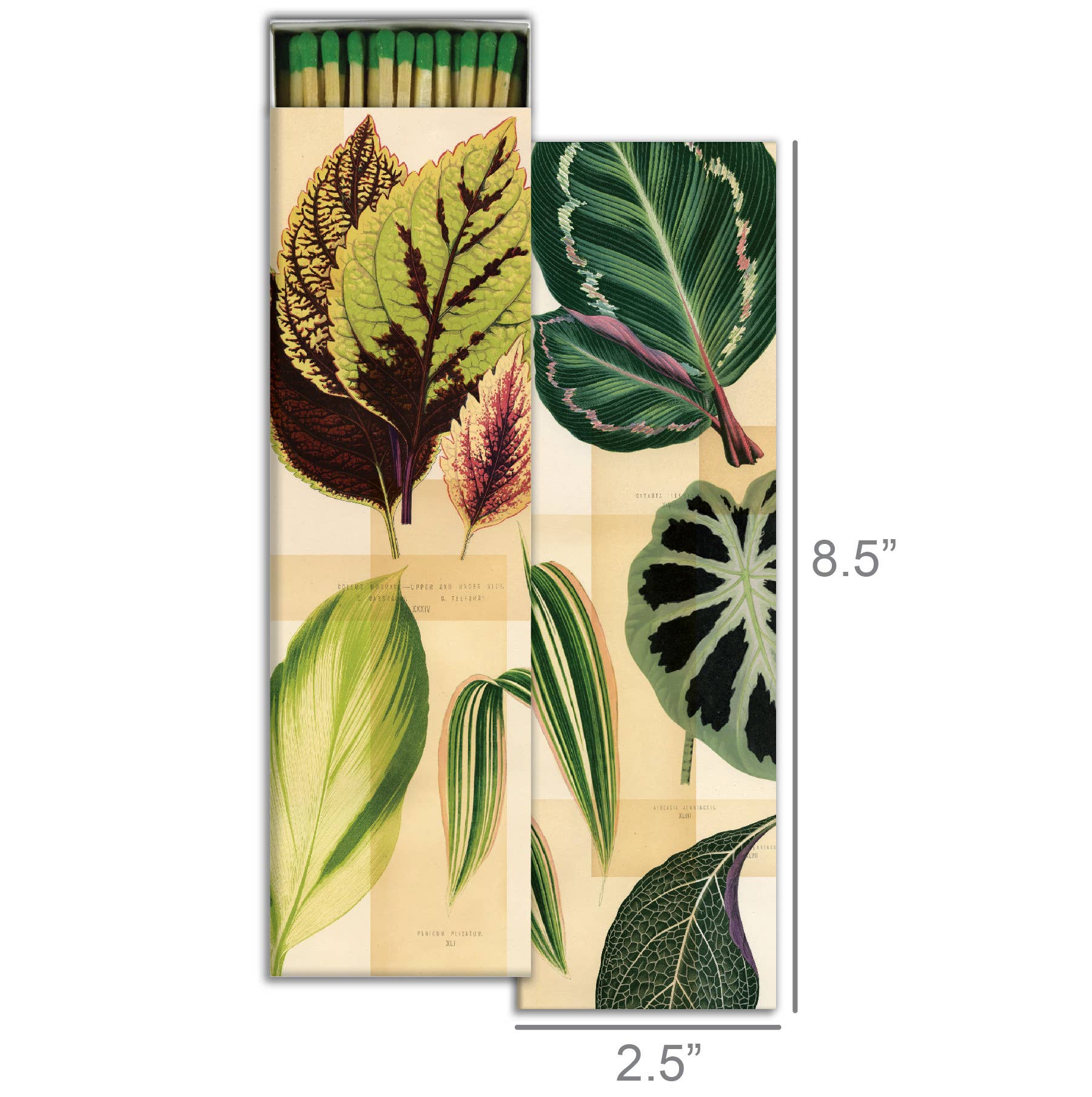 Matches, 8.5" | Garden Foliage