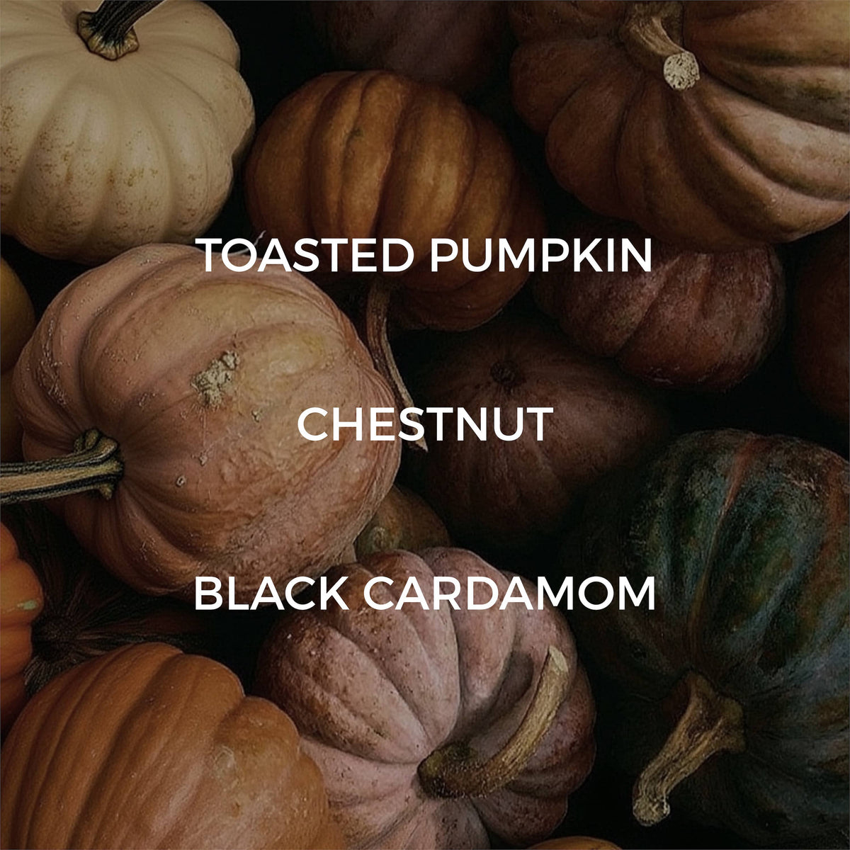 Velvet Pumpkin Candle