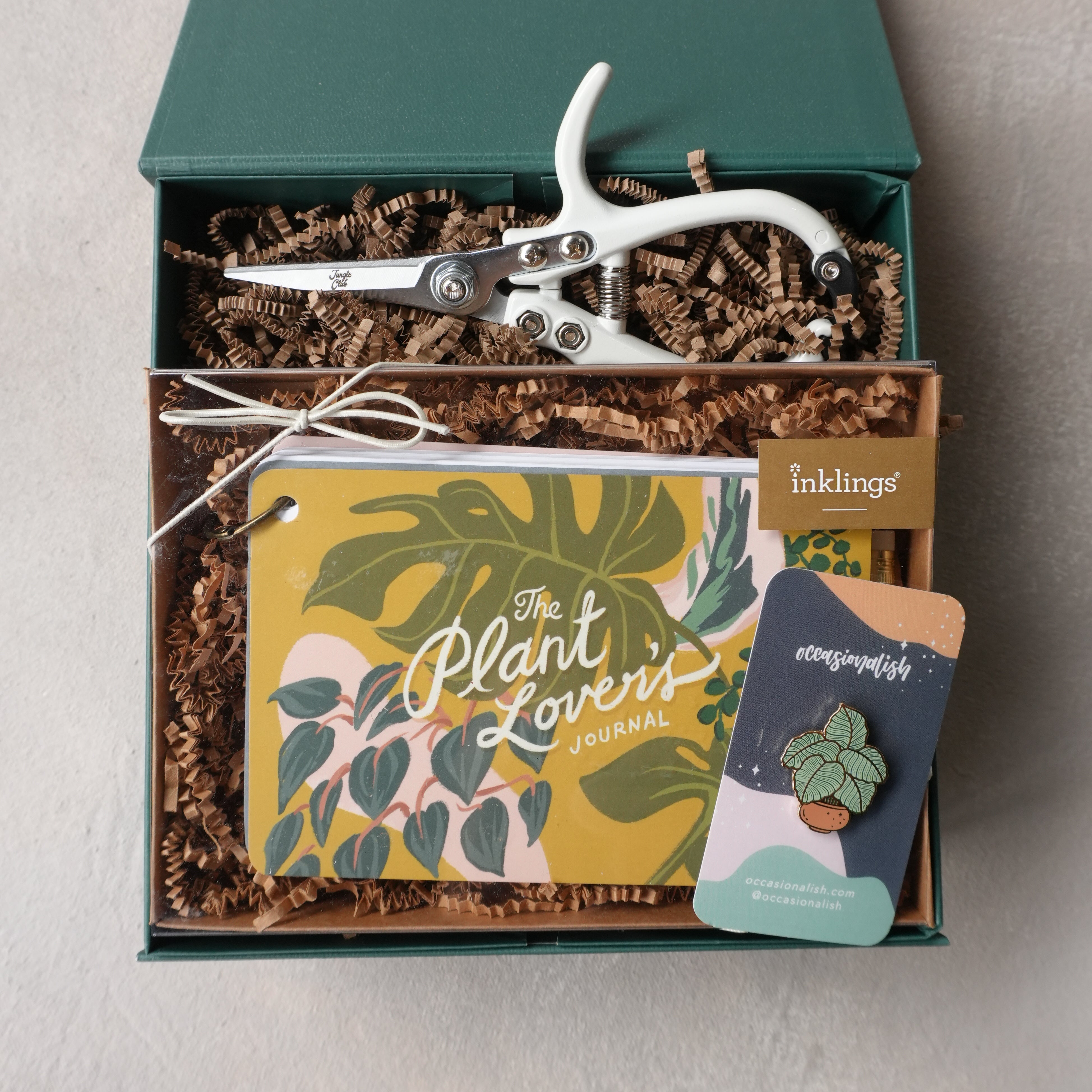 Curated Gift Box | Plant Pal