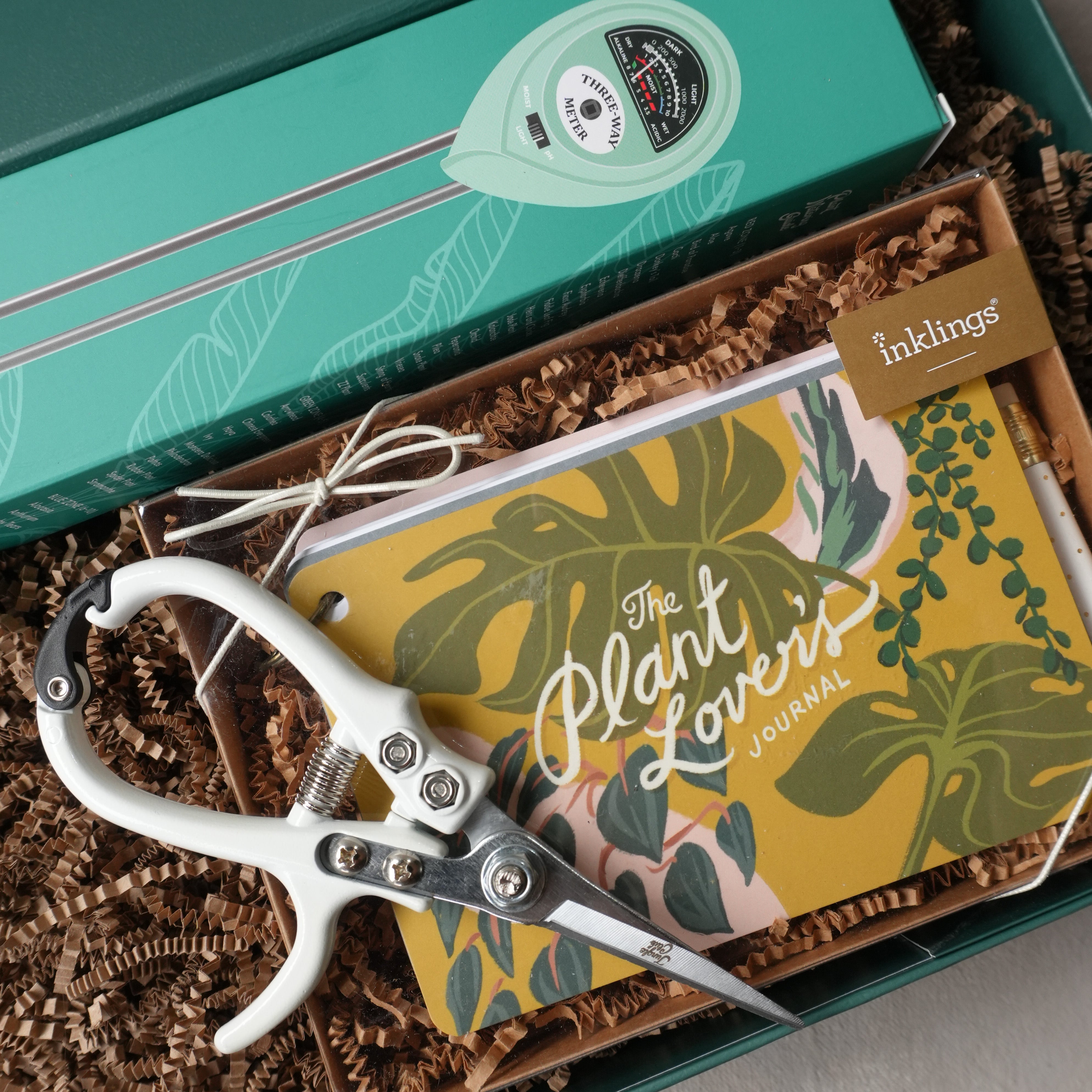 Curated Gift Box | Green Thumb