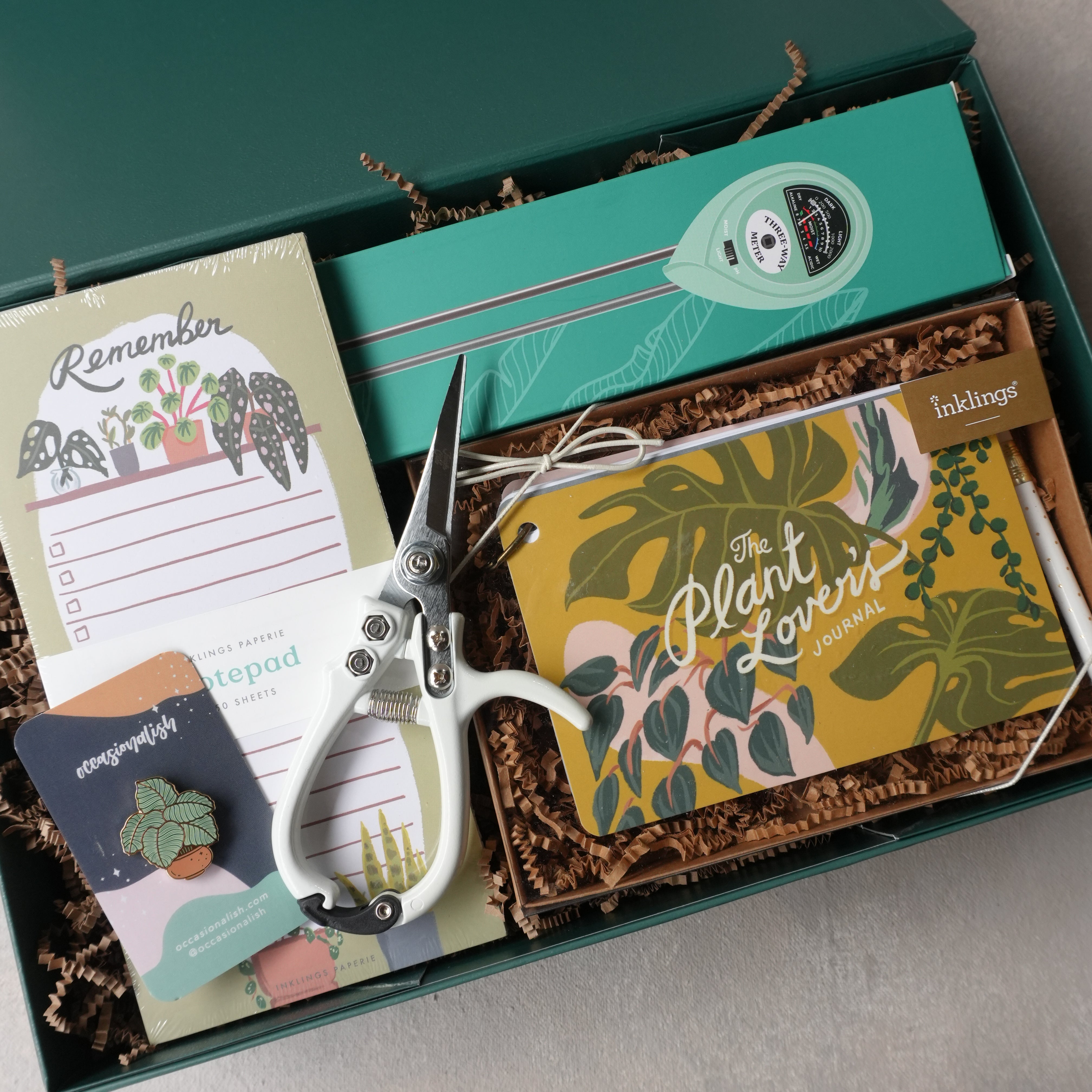 Curated Gift Box | Plant Enthusiast