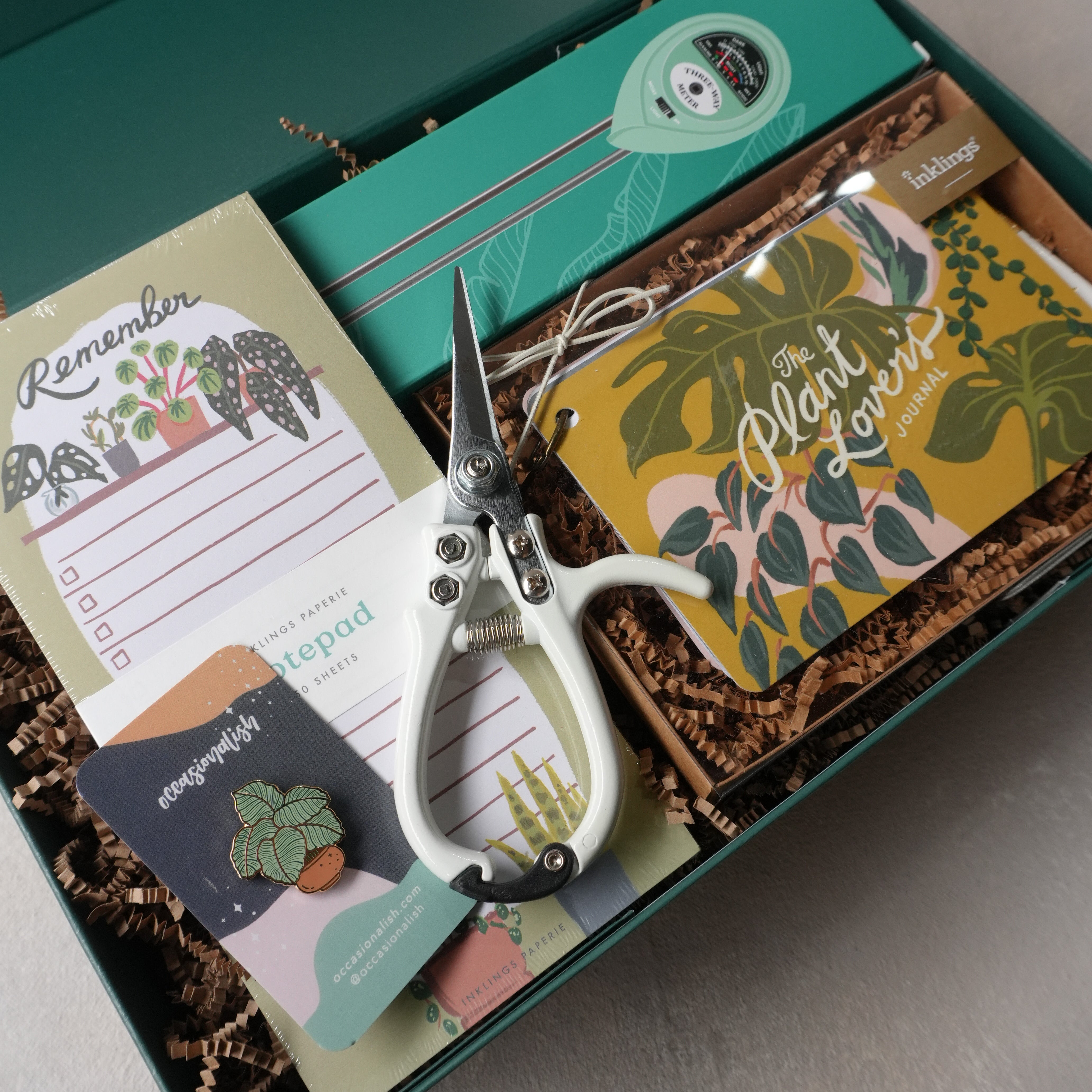 Curated Gift Box | Plant Enthusiast