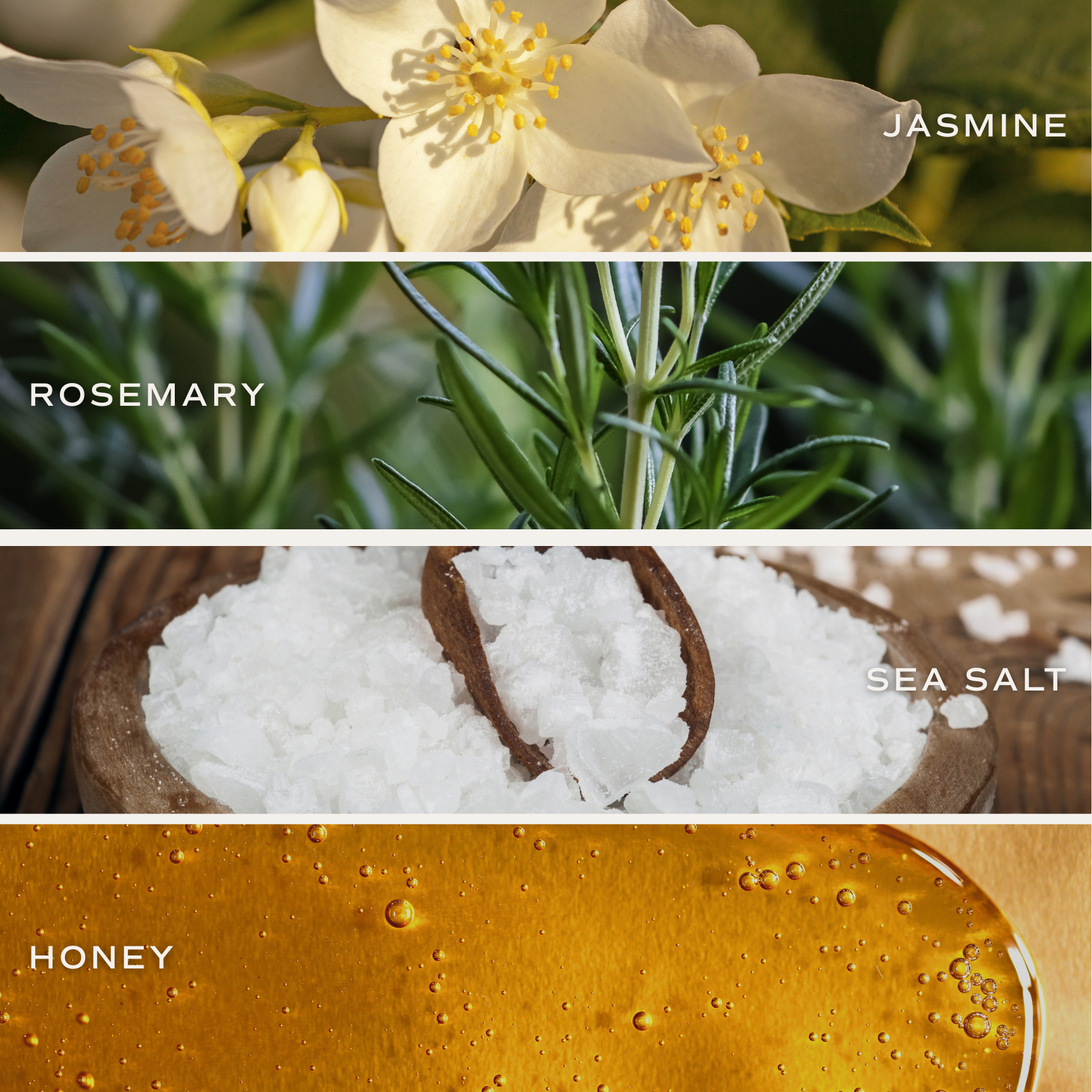 Wildflowers & Salt | 12 oz Candle